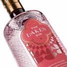 More the-lakes-pink-grapefruit-gin-p331-1359_image.jpg